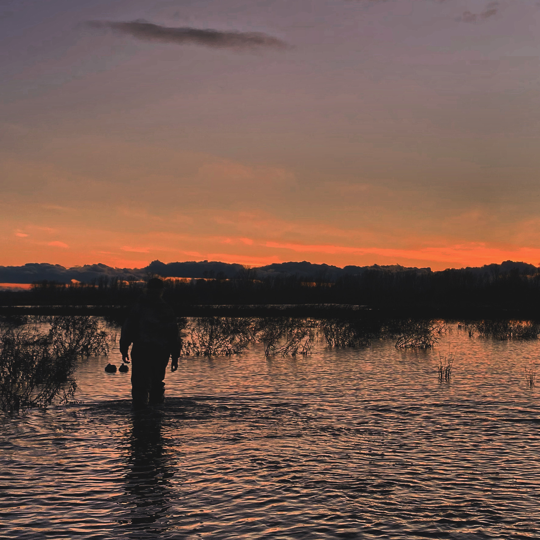 20251128232257_1-IMG_4593