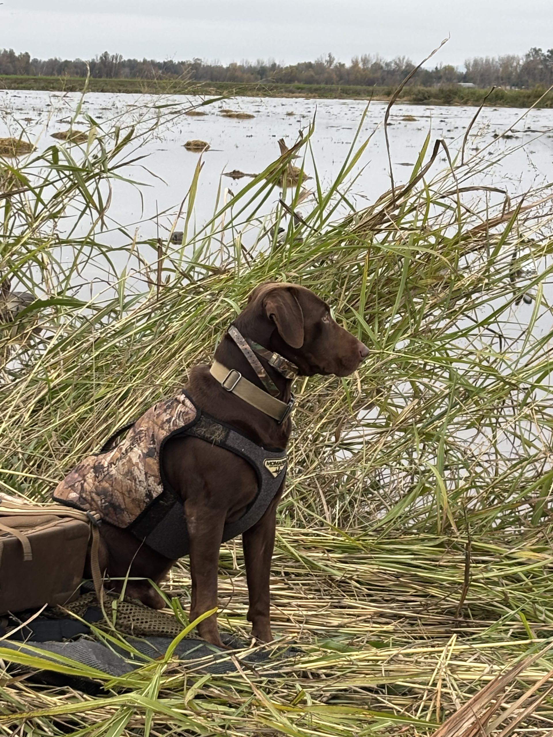 20251128232257_3-IMG_7001